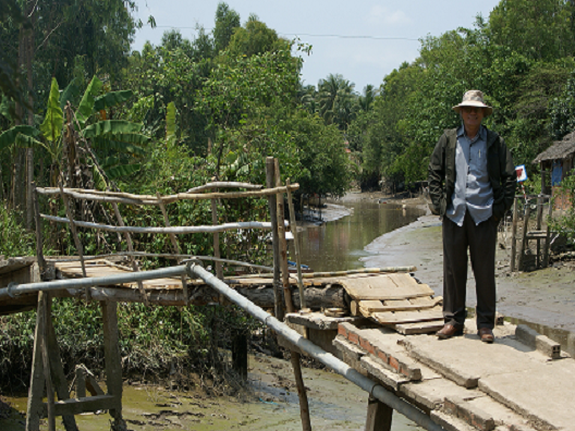 New Bridges Construction